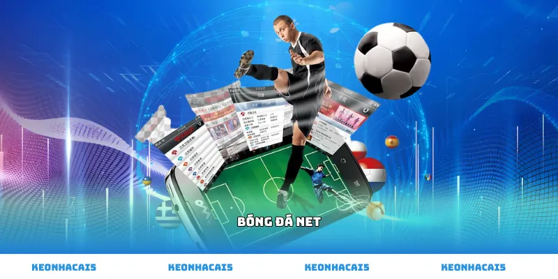 bóng đá net