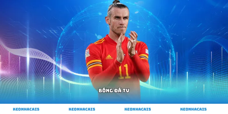 bóng đá tv
